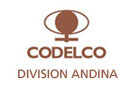 CODELOC - DIVISION ANDINA